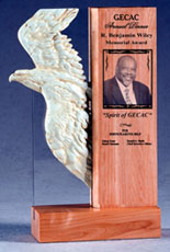Plaques